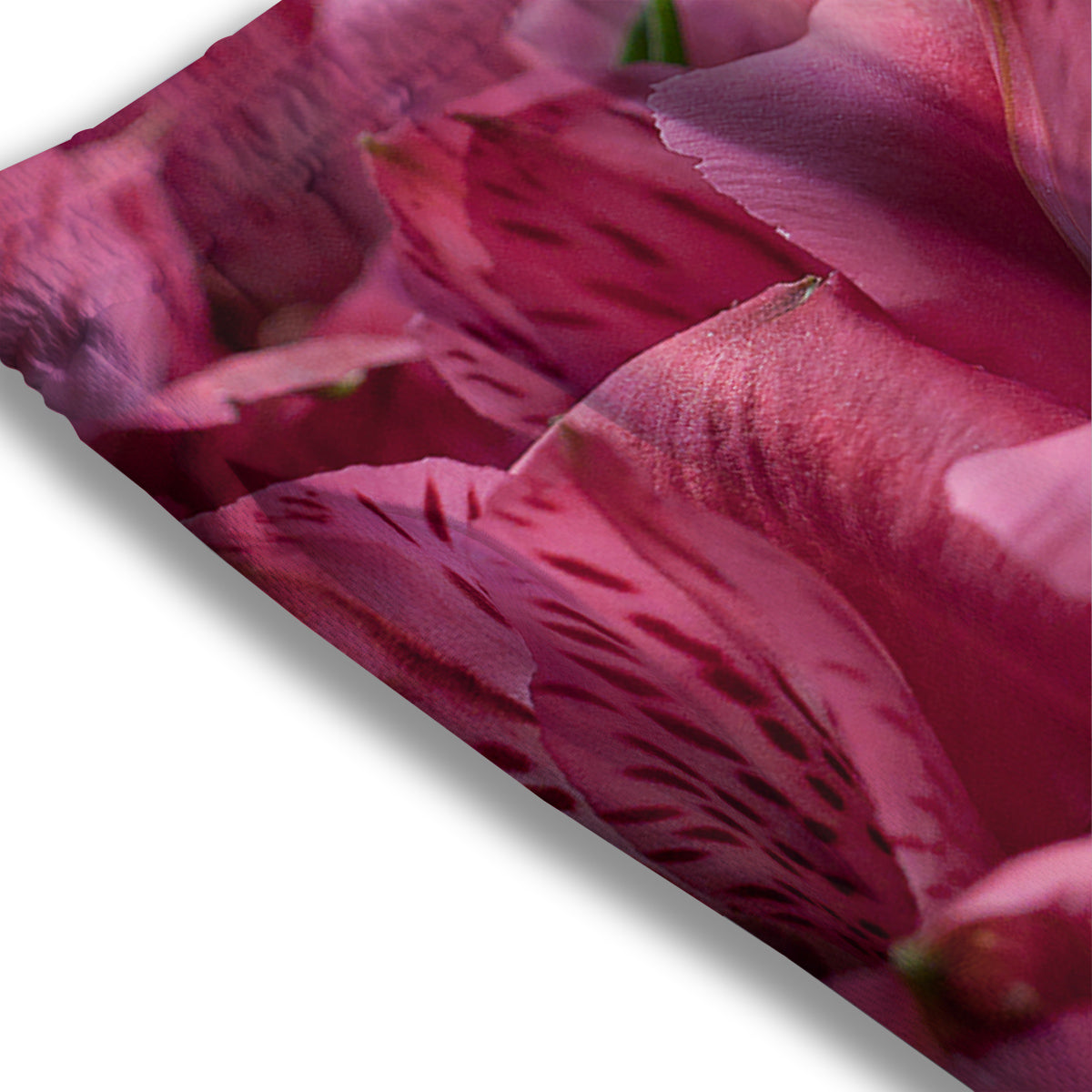 Alien UFO Green Cute Print Mesh Shorts