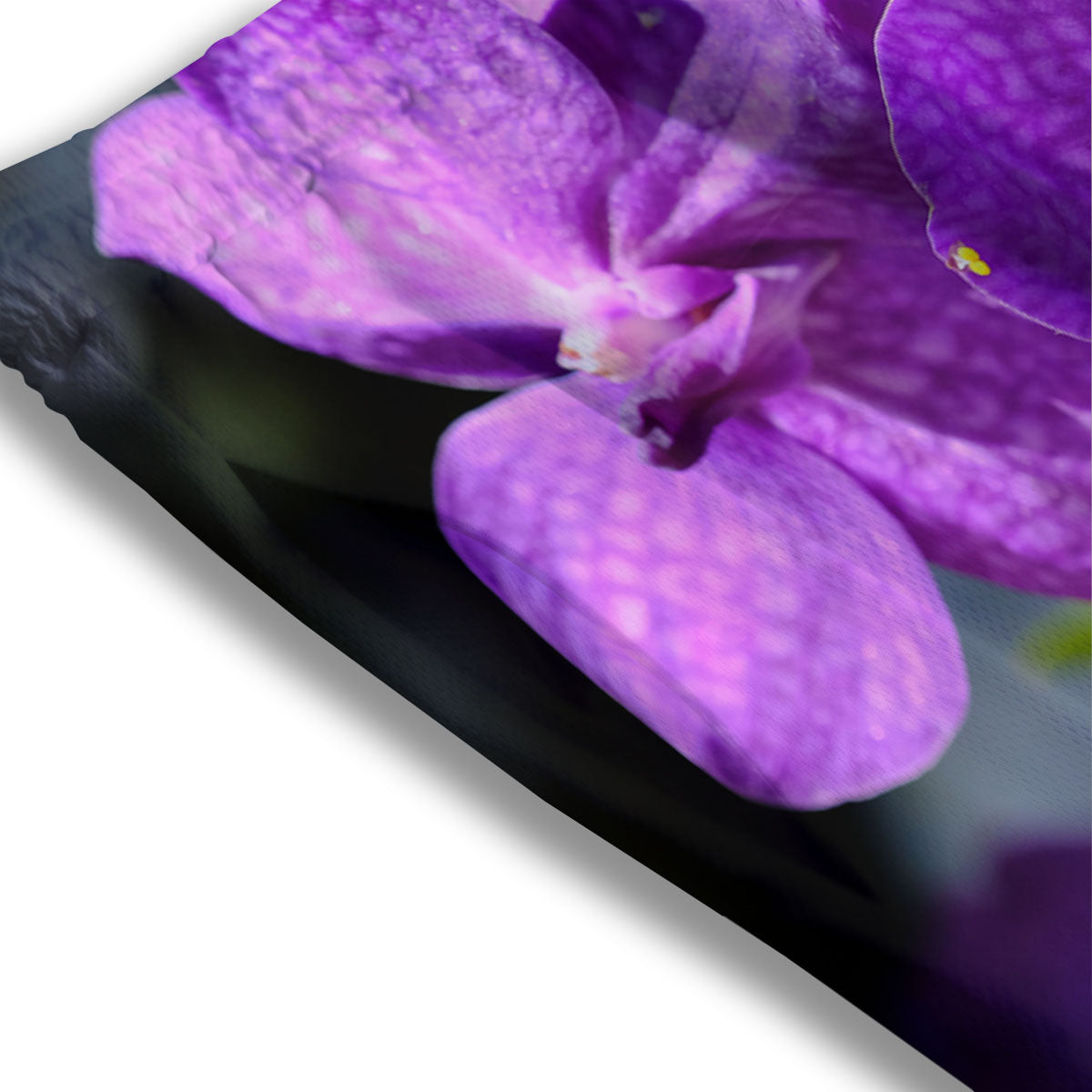 Alstroemeria Purple Print Mesh Shorts