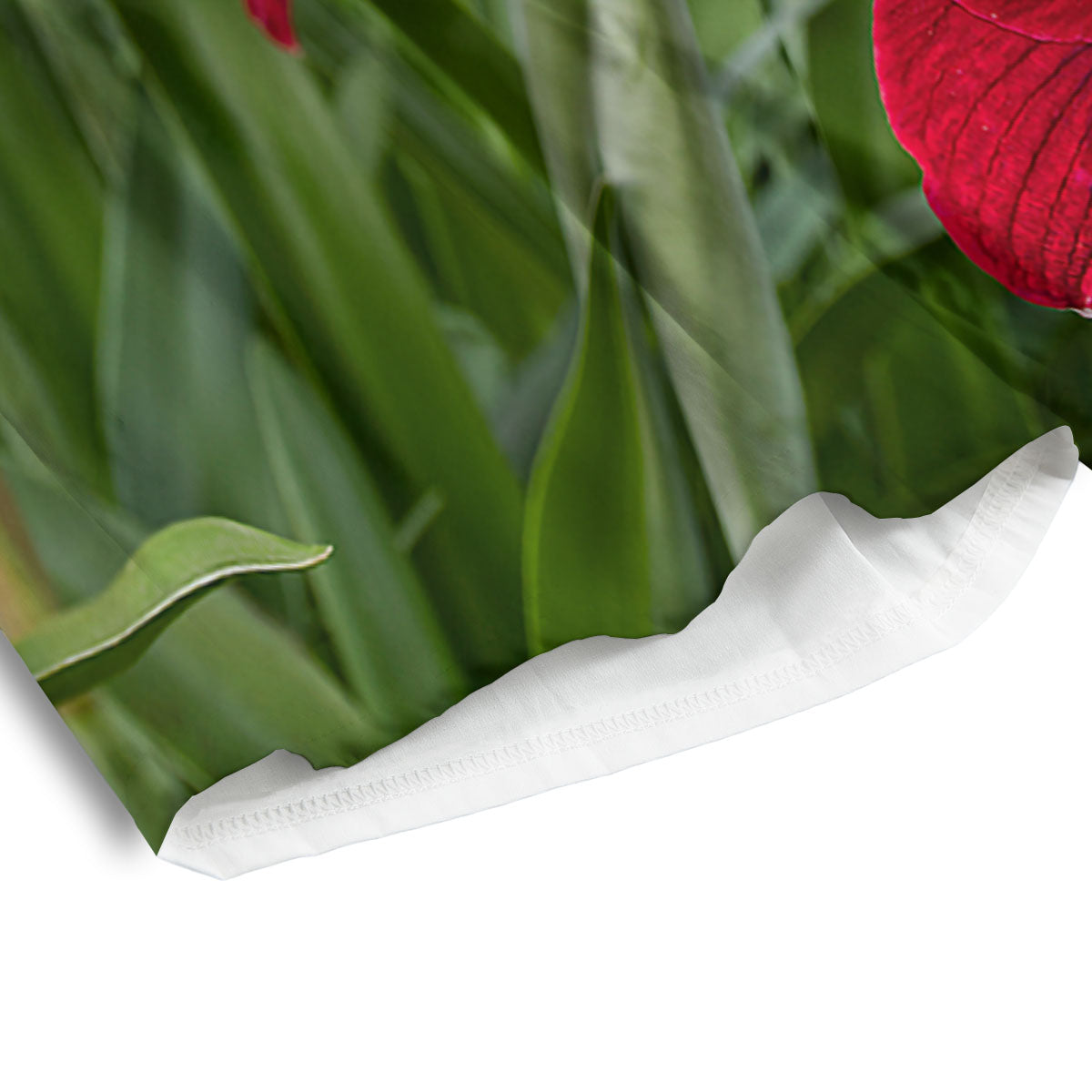 Amaryllis Red Print Men's Athletic Shorts