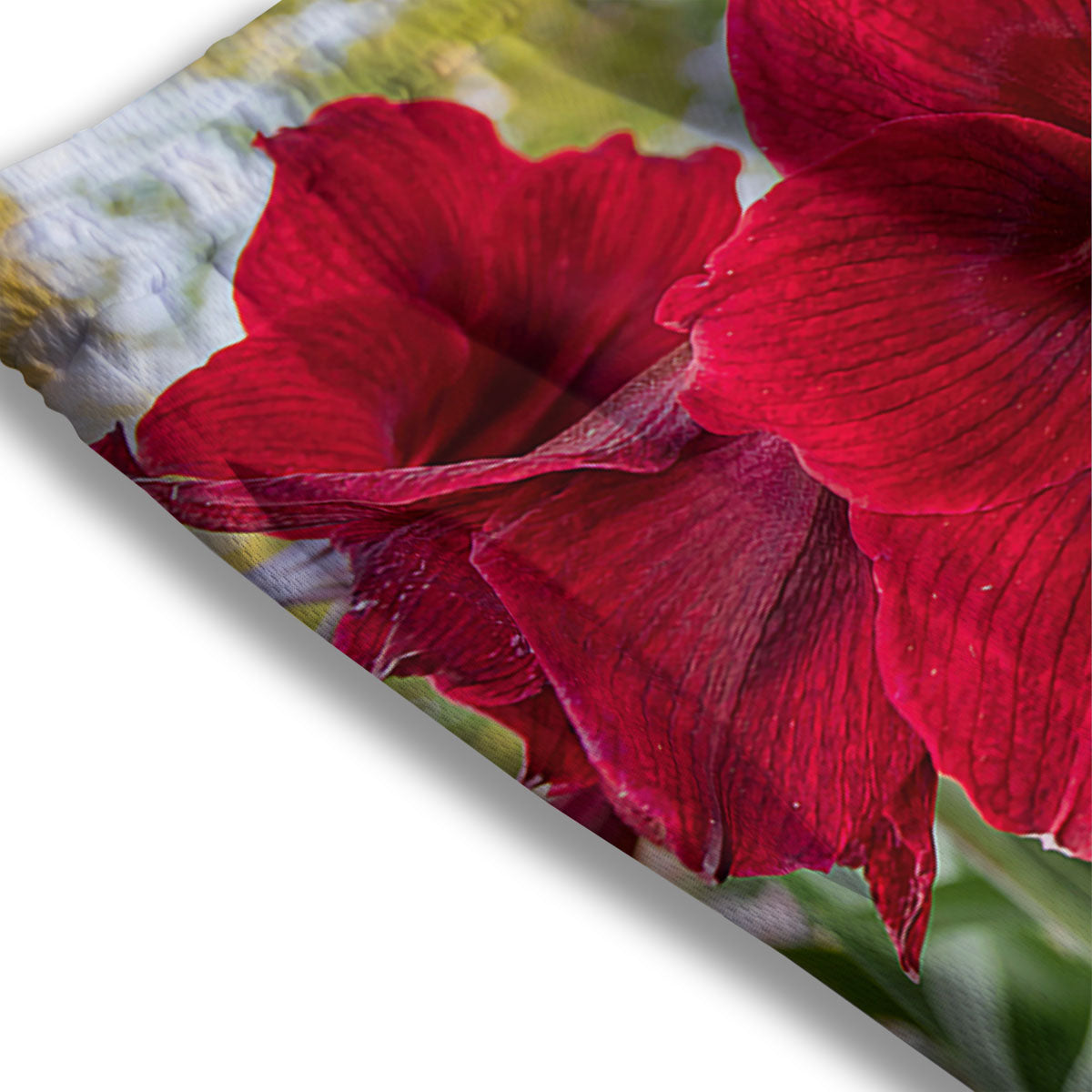 Amaryllis Red Print Mesh Shorts