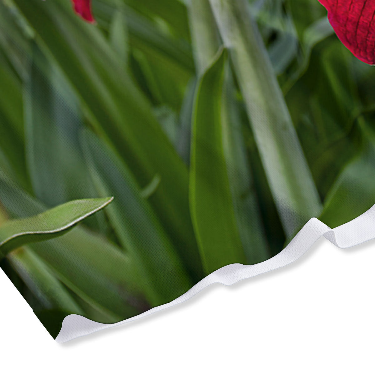 Amaryllis Red Print Mesh Shorts