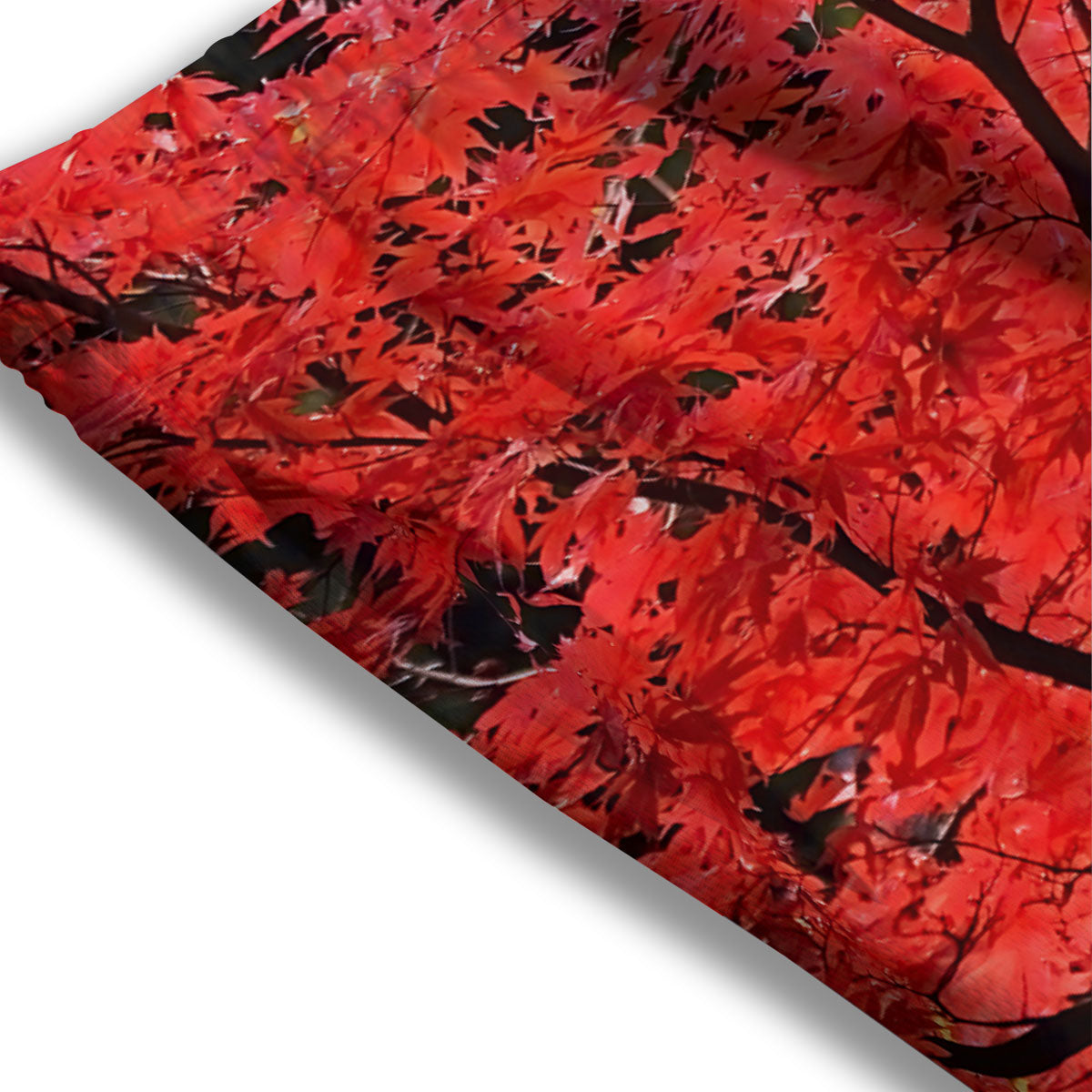 Border Tartan White And Grey Print Mesh Shorts