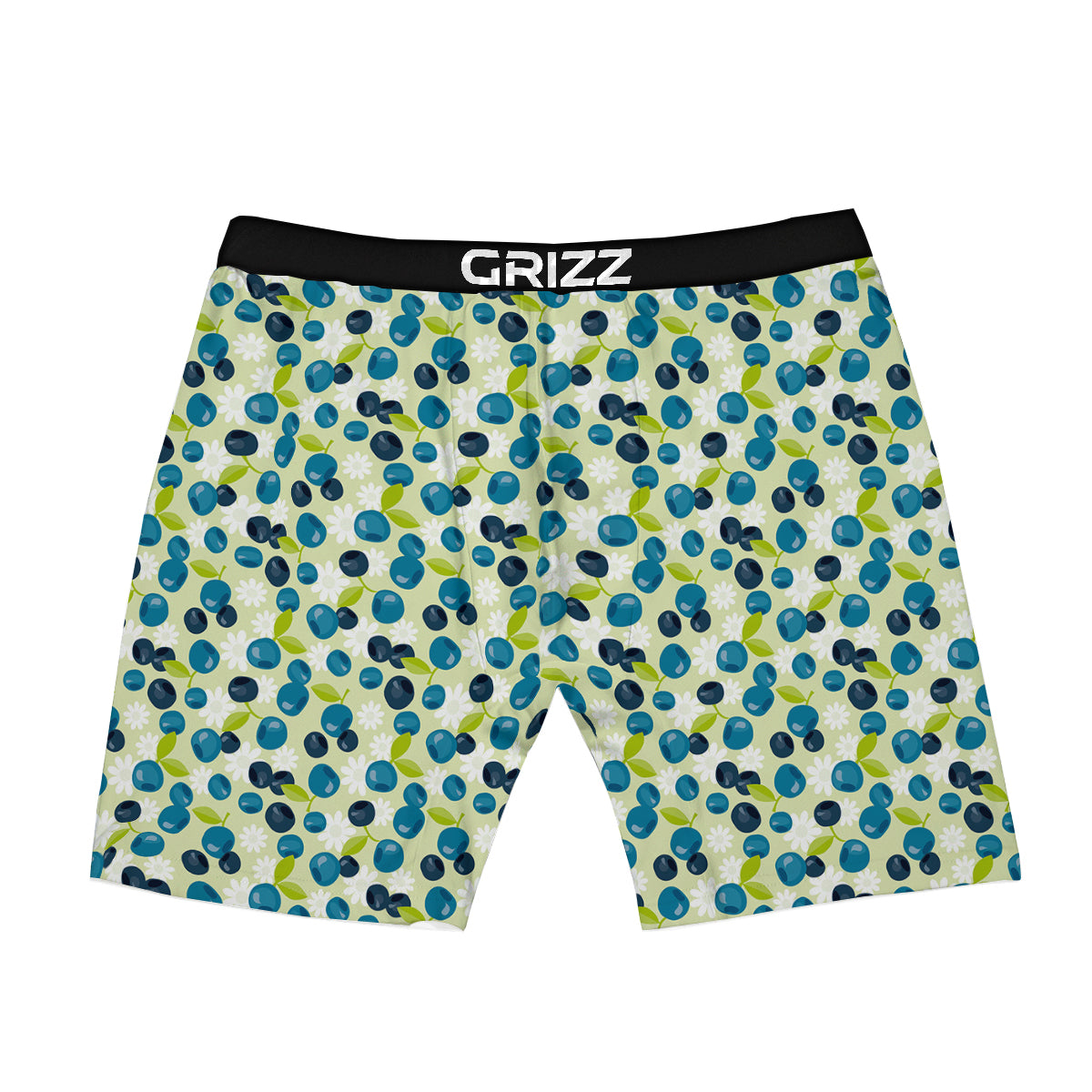 Blueberry And Daisy Print Pattern Boxer Briefs-grizzshop