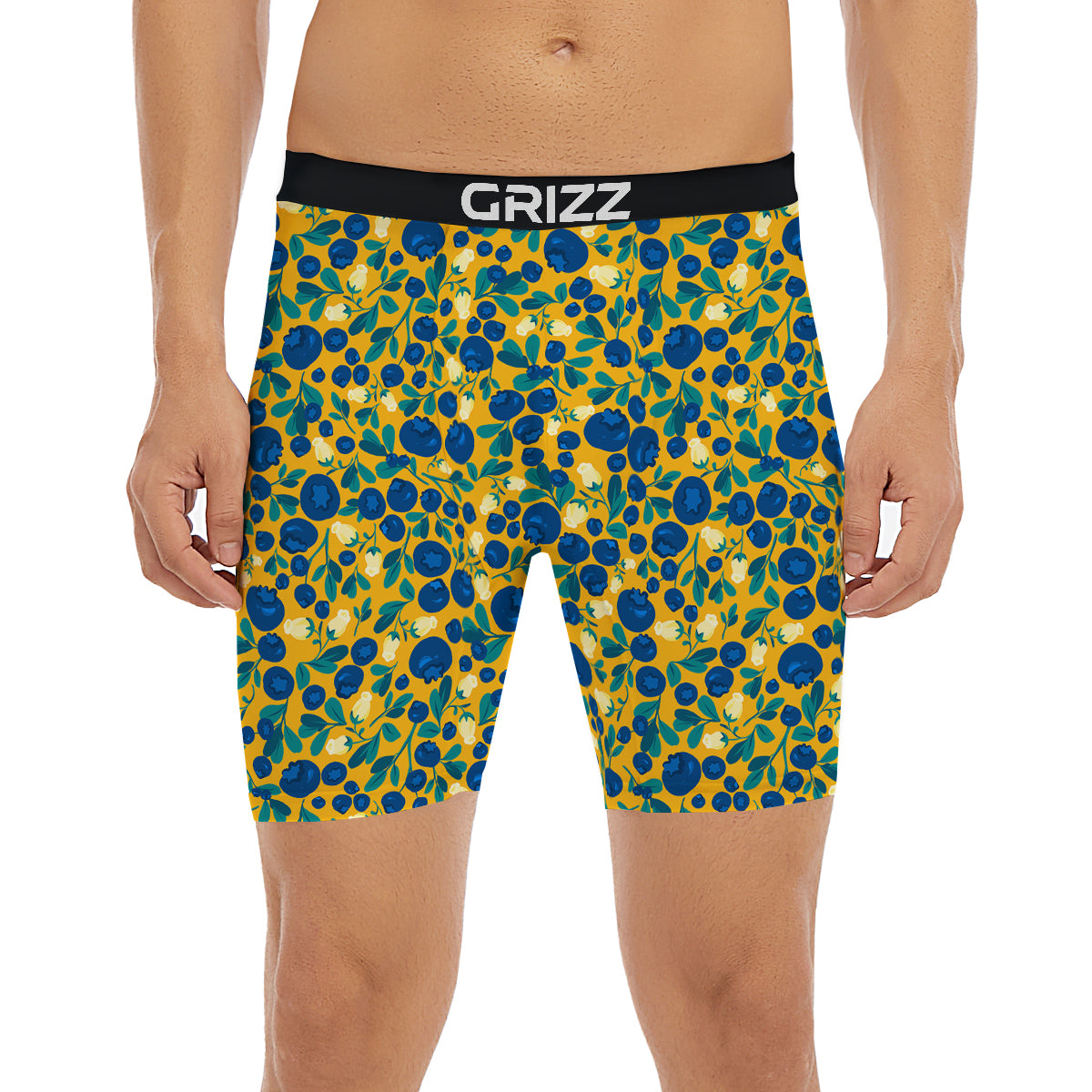 Blueberry Yellow Print Pattern Boxer Briefs-grizzshop