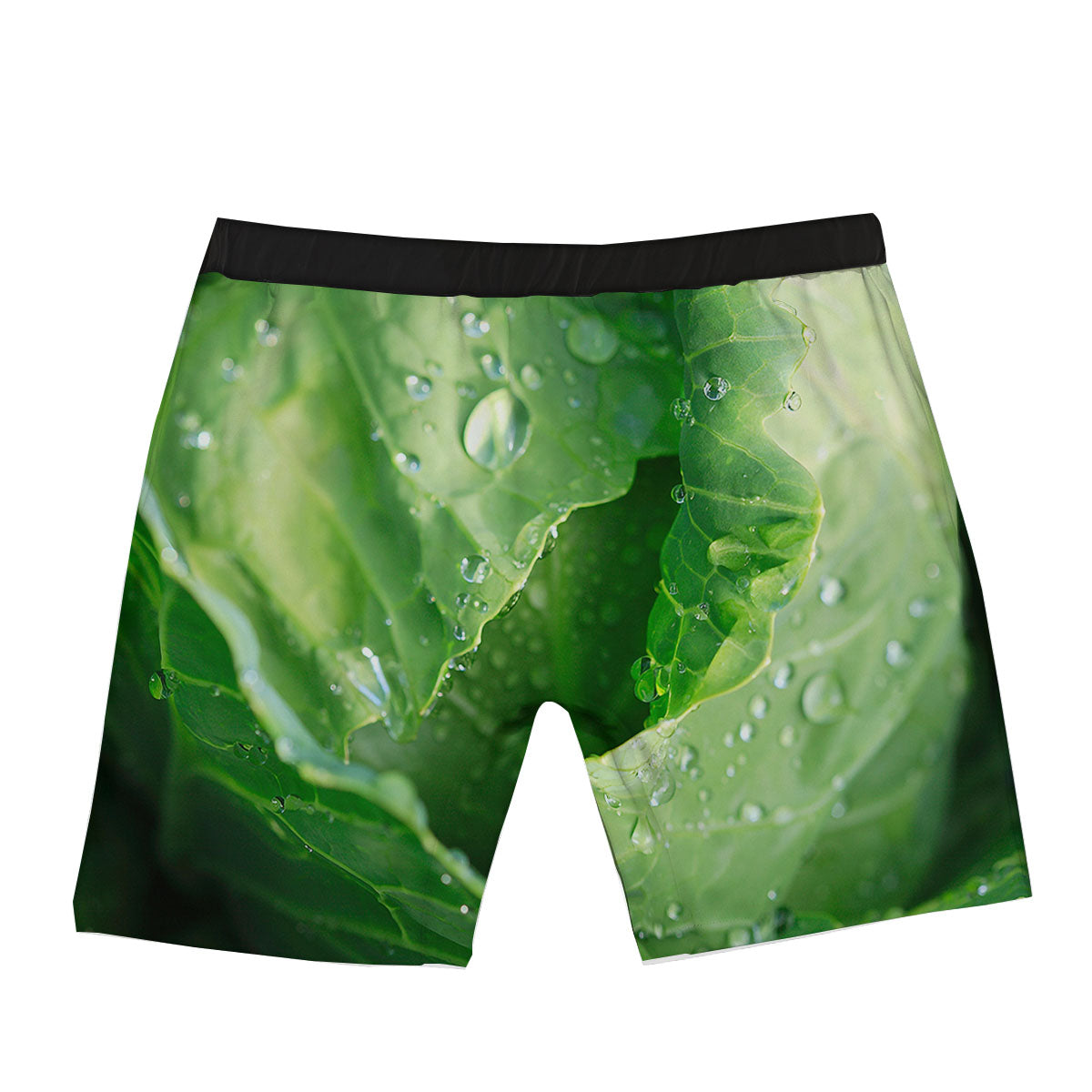 Cabbage Fresh Leaf Print Boxer Briefs-grizzshop