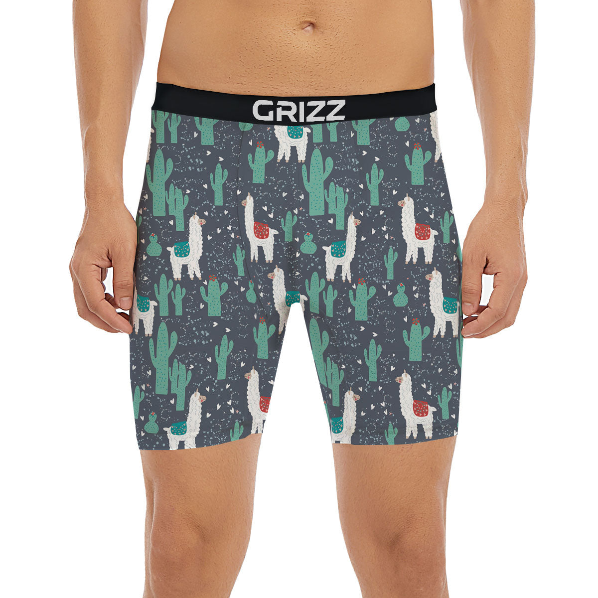 Cactus And Happy Llama Print Pattern Boxer Briefs-grizzshop