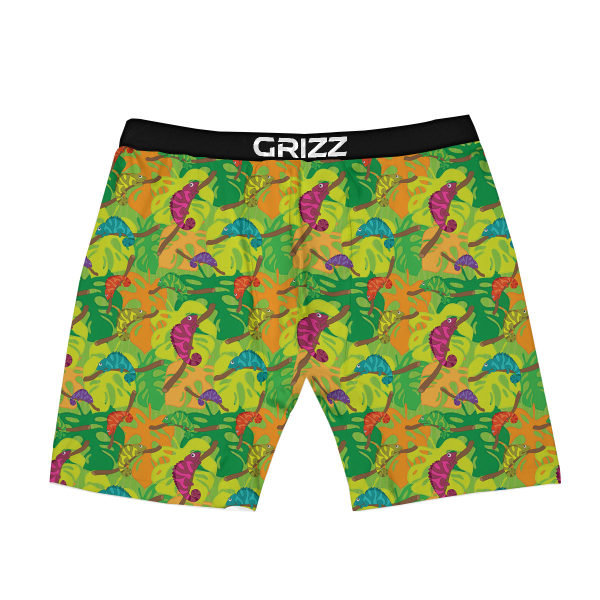 Colorful Chamaleon And Monstera Tropic Leave Print Pattern Boxer Briefs-grizzshop