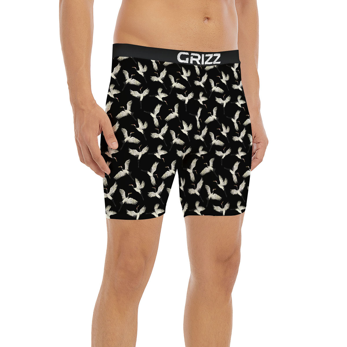 Crane Bird Flying Print Pattern Boxer Briefs-grizzshop