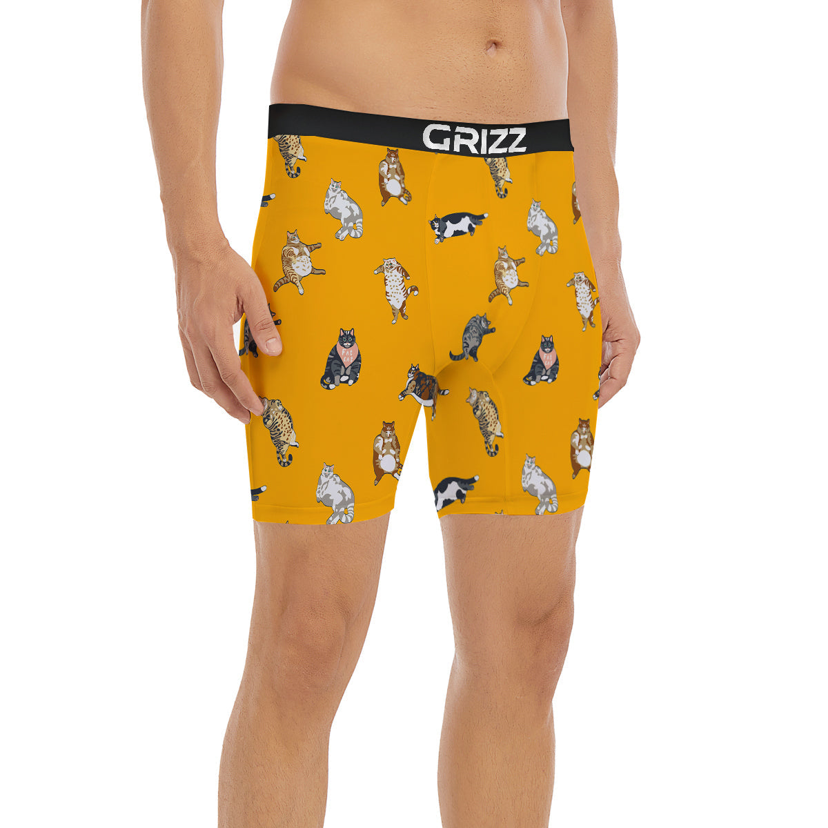 Cute Fat Cat Print Pattern Boxer Briefs-grizzshop
