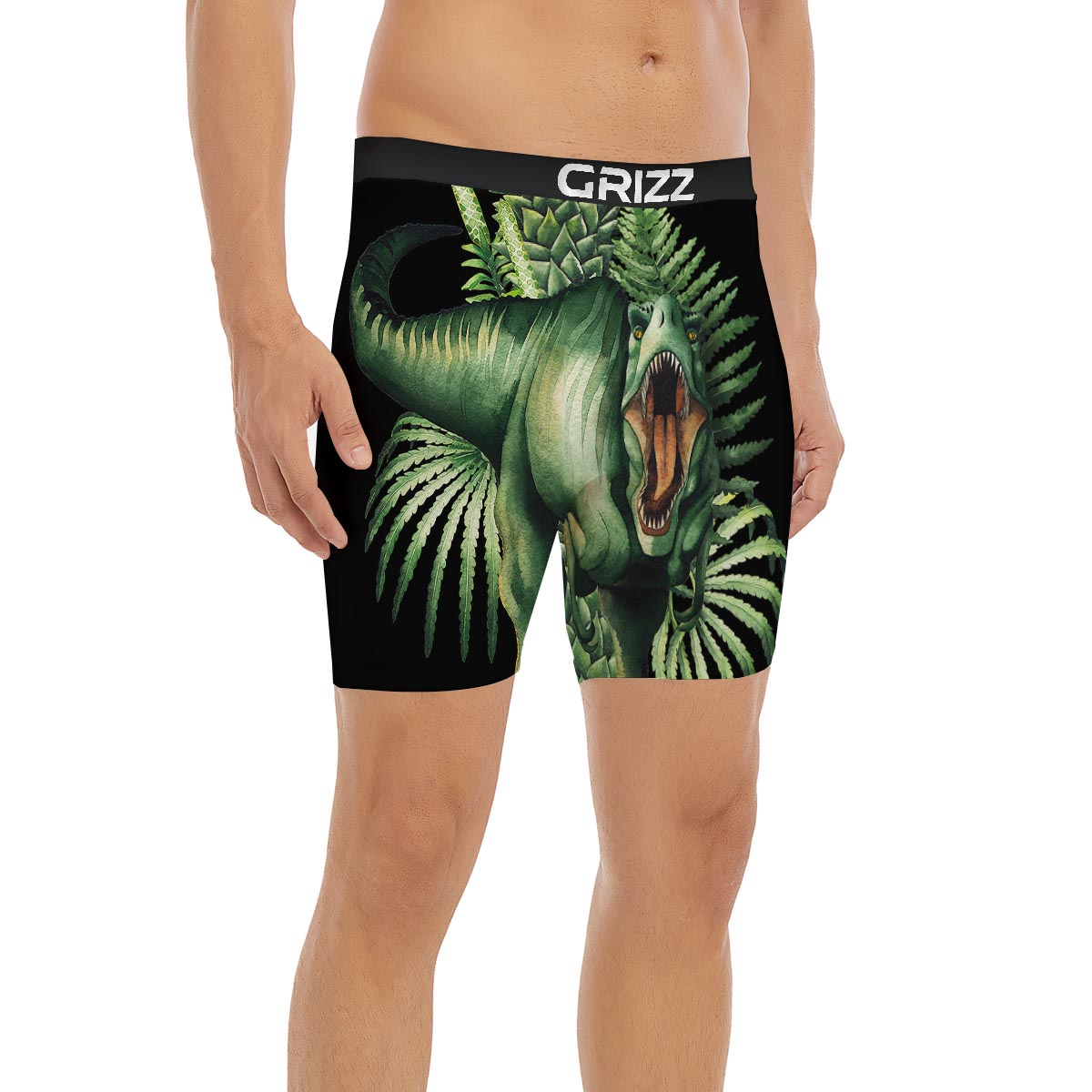 Dinosaur T Rex And Jurassic Plants Print Boxer Briefs-grizzshop