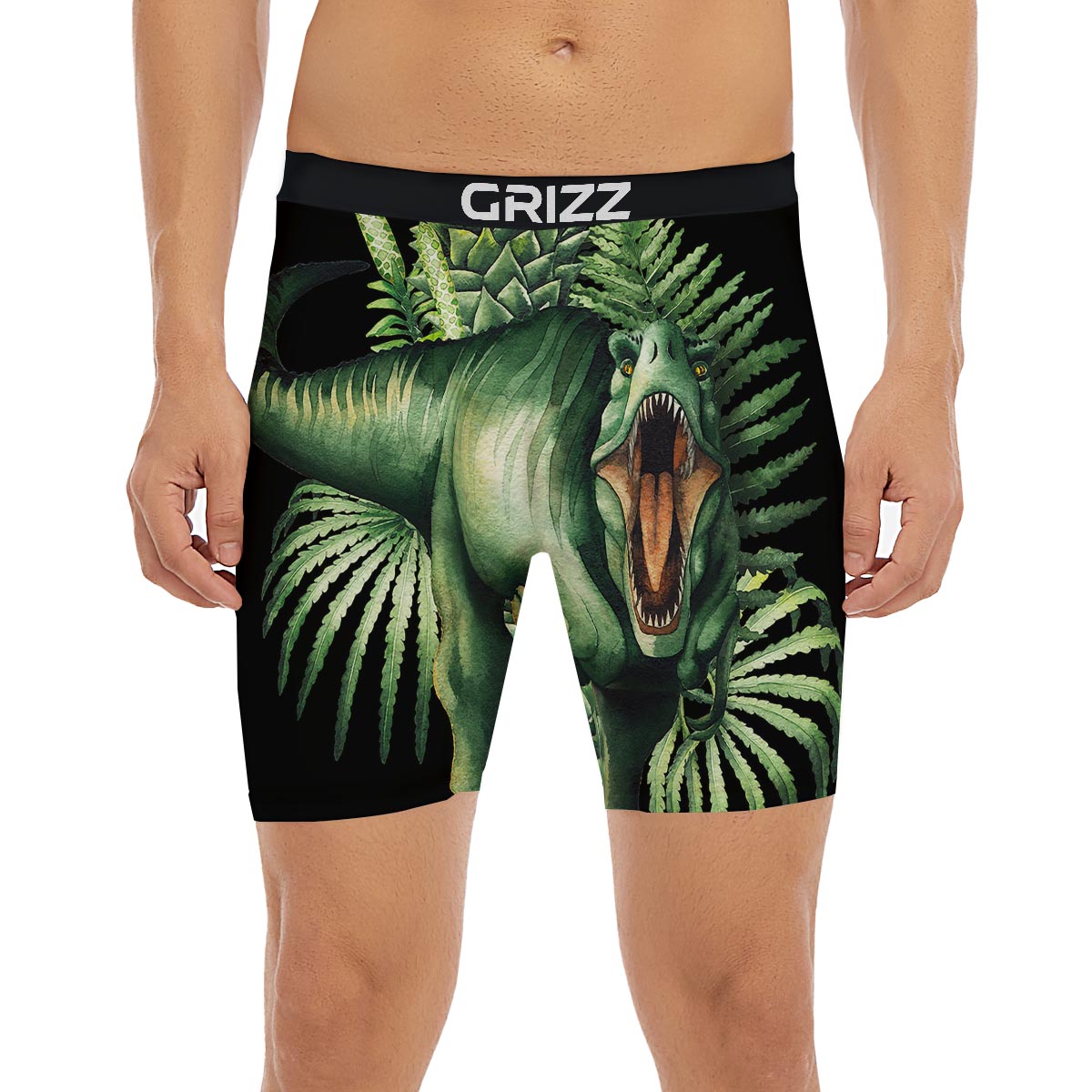 Dinosaur T Rex And Jurassic Plants Print Boxer Briefs-grizzshop