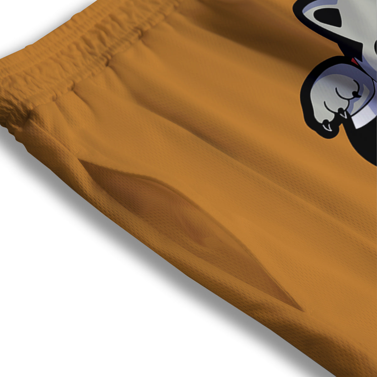 Dracula Cute Cat Print Mesh Shorts