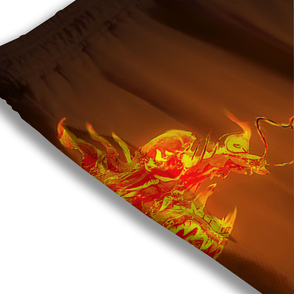 Dragons Ice And Fire Print Mesh Shorts