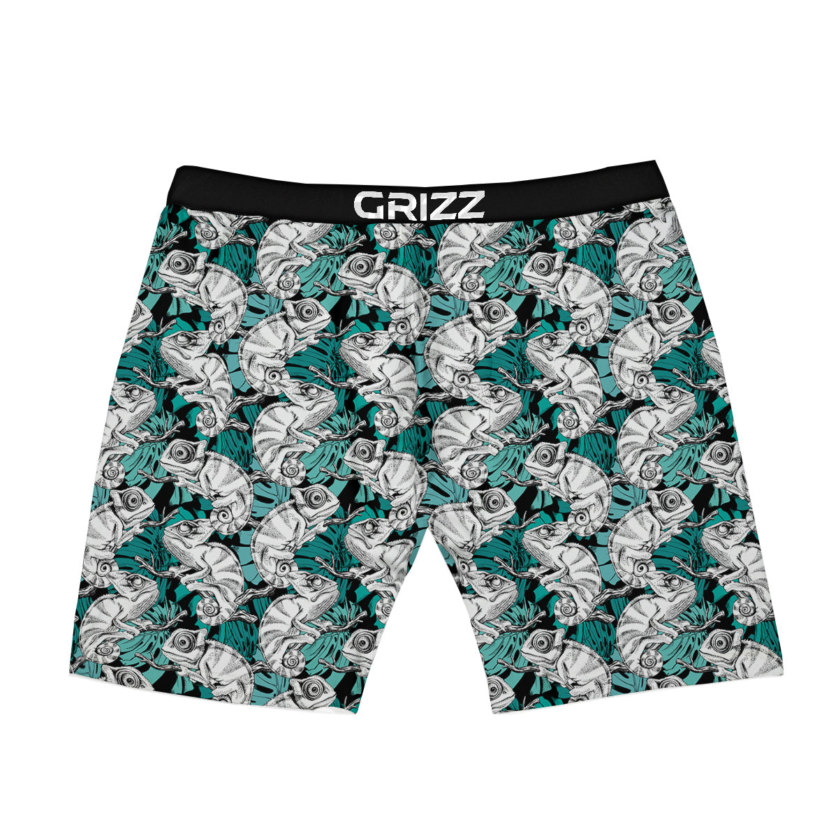 Drawing Chameleon And Monstera Leaf Print Pattern Boxer Briefs-grizzshop