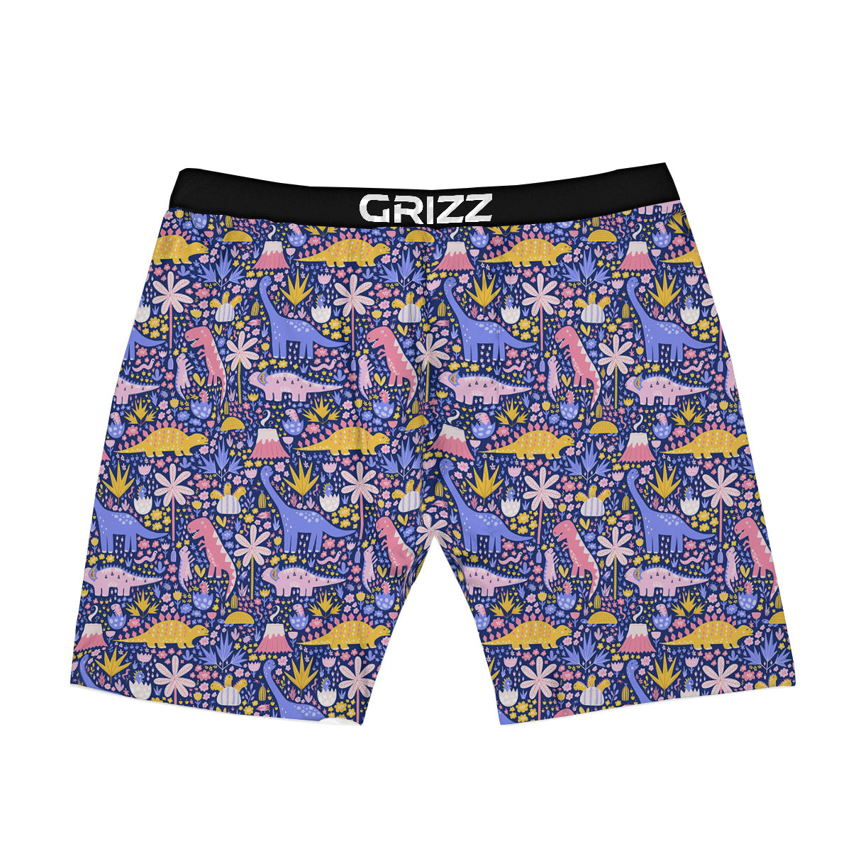Floral And Cute Dinosaur Print Pattern Boxer Briefs-grizzshop