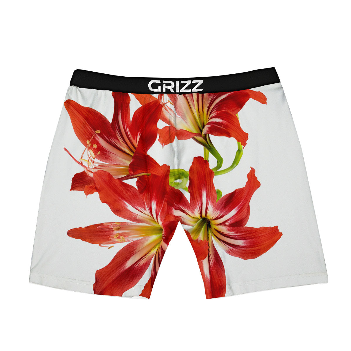 Flower Amaryllis Print Boxer Briefs-grizzshop