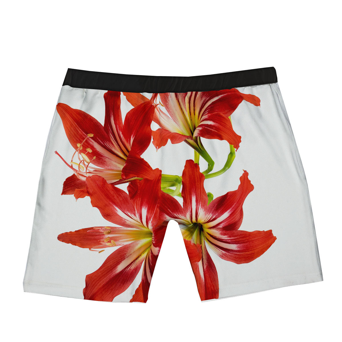 Flower Amaryllis Print Boxer Briefs-grizzshop