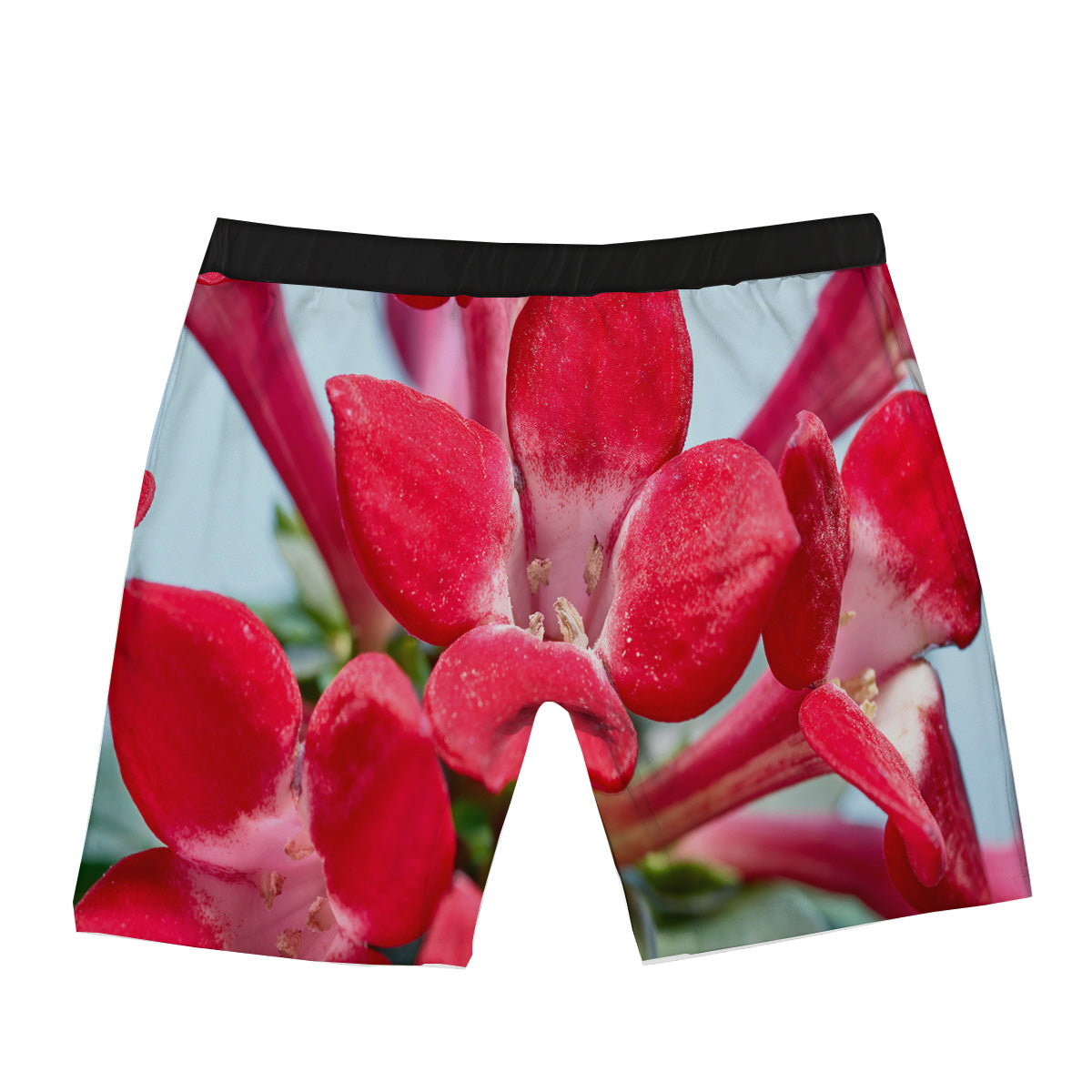 Flower Bouvardia Print Boxer Briefs-grizzshop