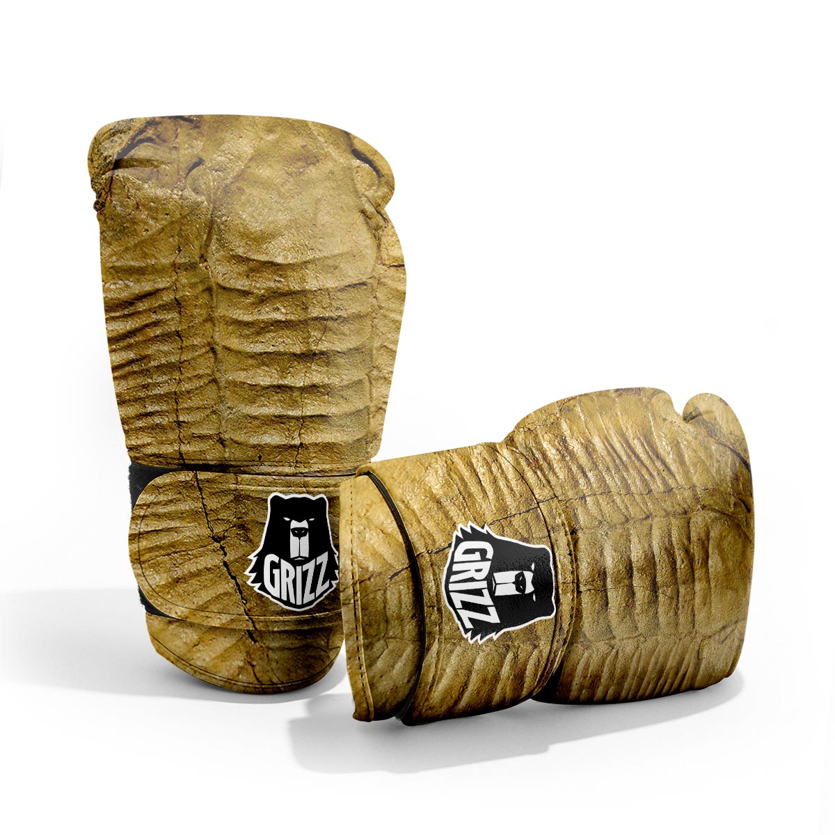 Fossil Trilobite Print Pro Boxing Glove