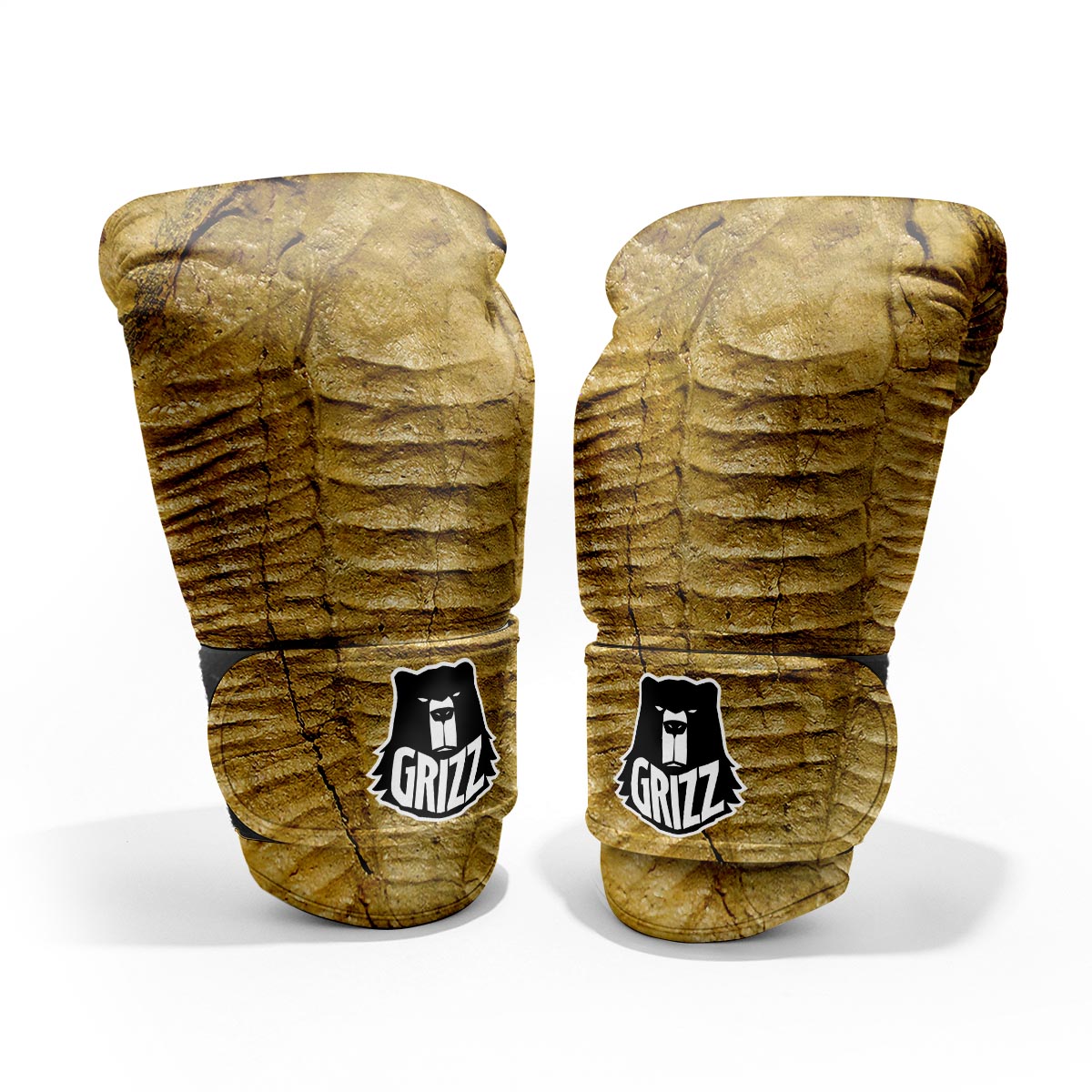 Fossil Trilobite Print Pro Boxing Glove