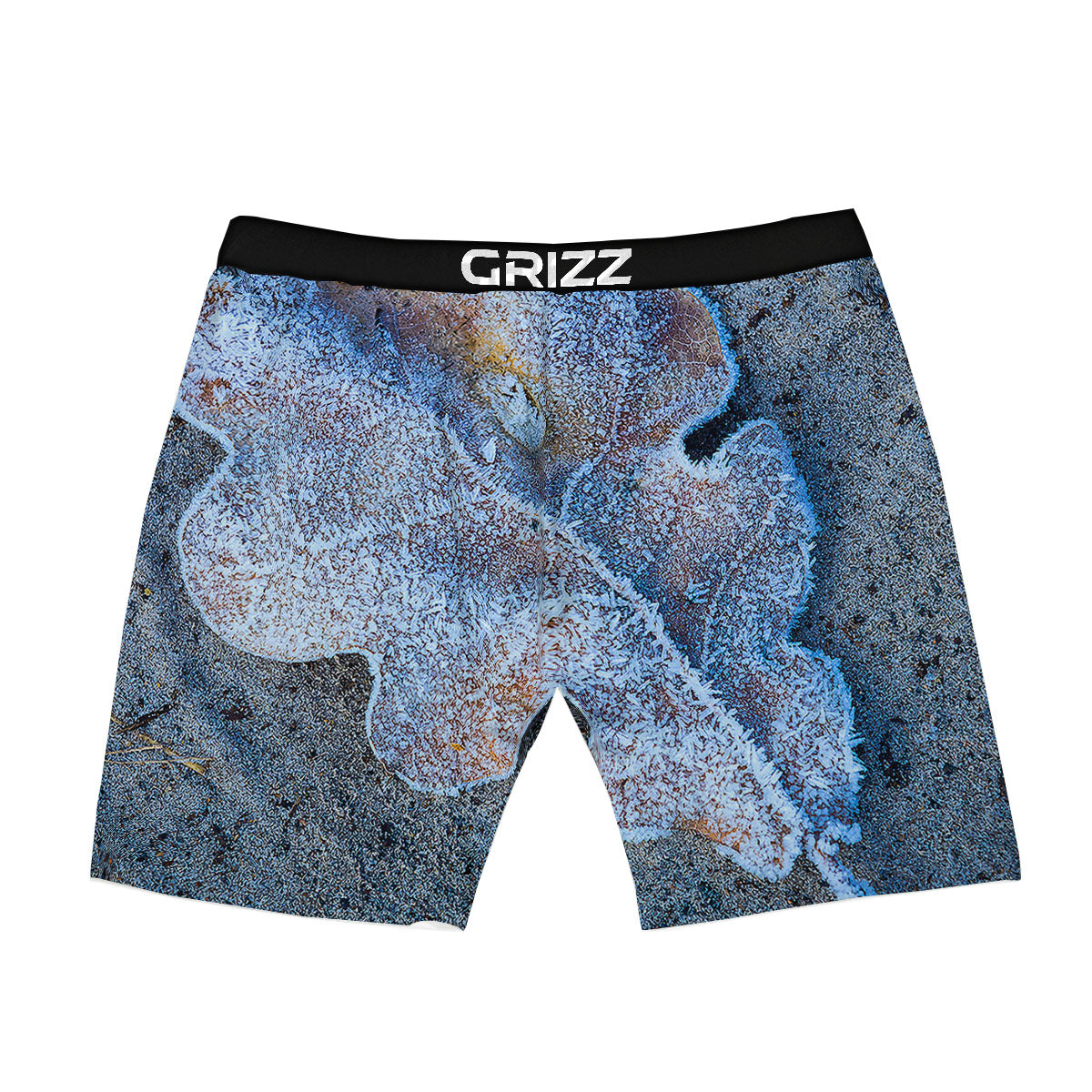 Frozen Leaf Oak Print Boxer Briefs-grizzshop