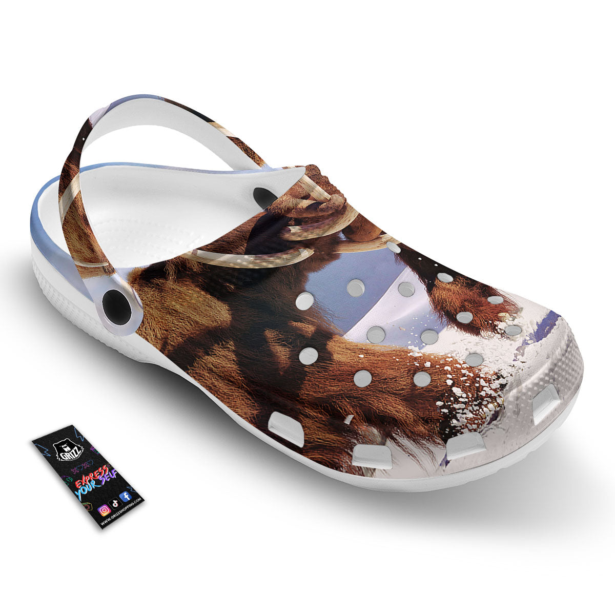 Frozen Mammoth Print Clog-grizzshop