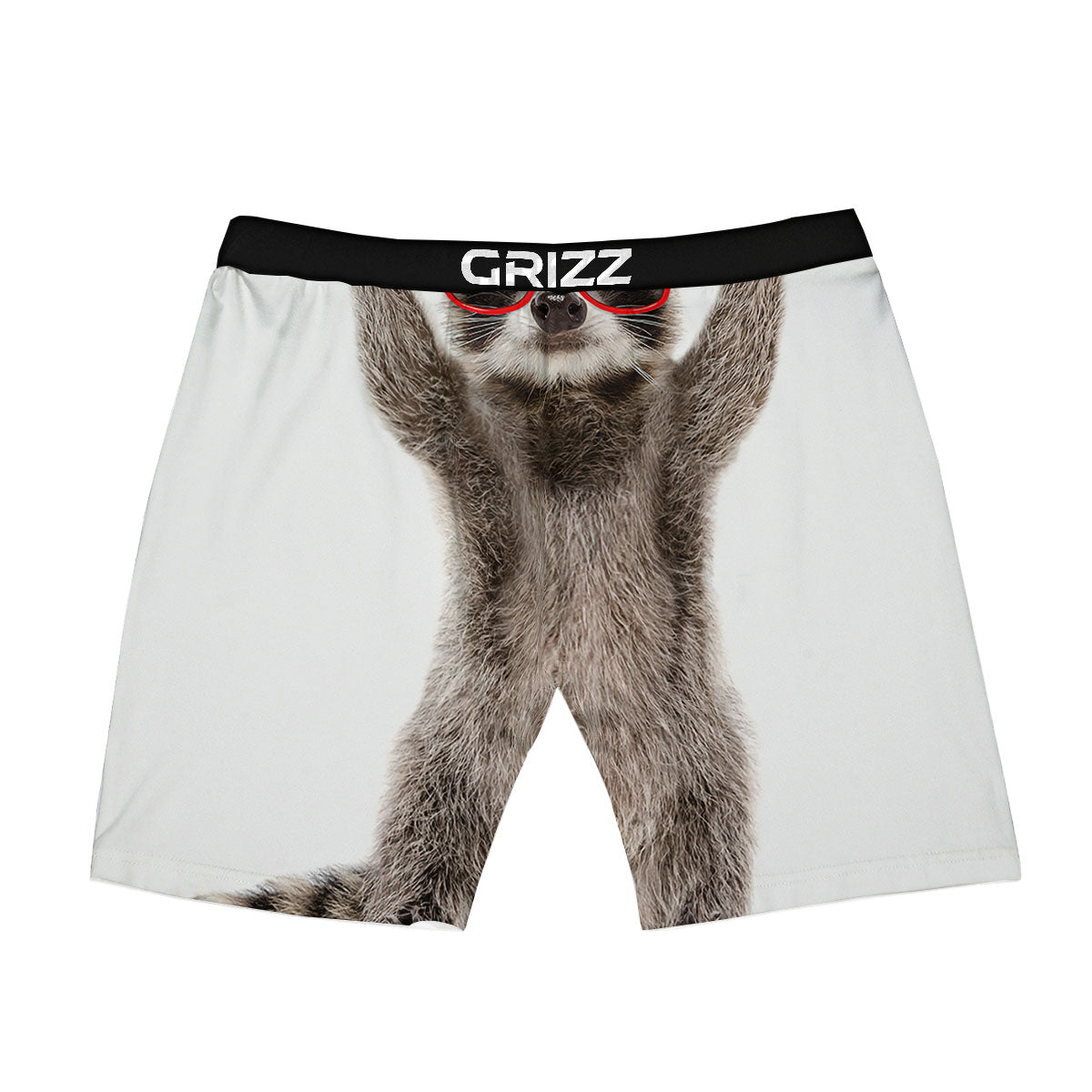 Funny Raccoon Print Boxer Briefs-grizzshop