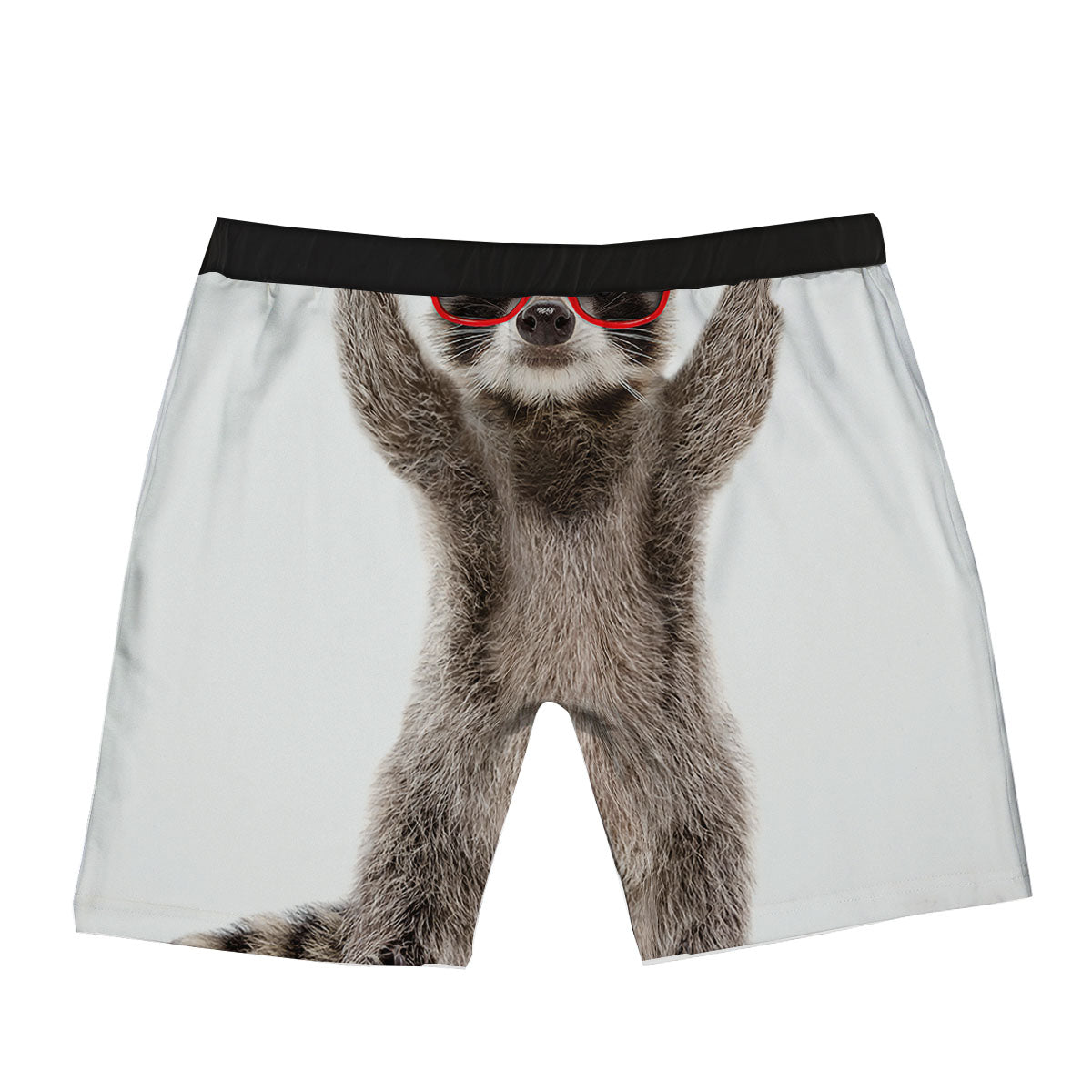 Funny Raccoon Print Boxer Briefs-grizzshop