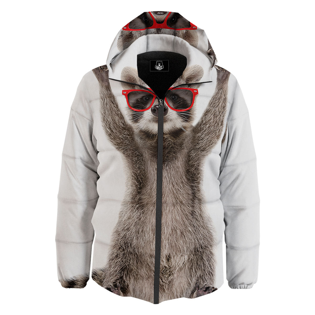 Funny Raccoon Print Down Jacket-grizzshop