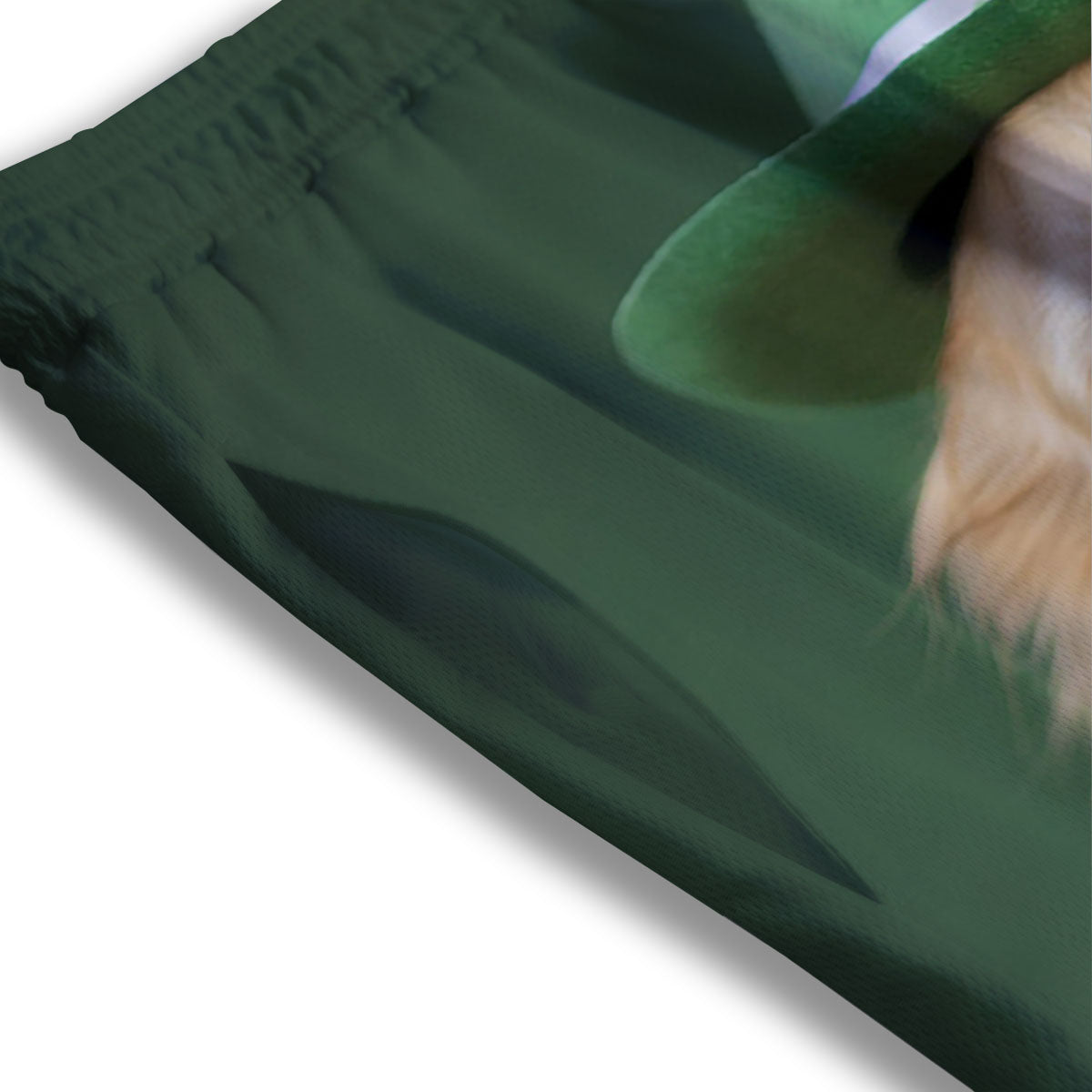 Golden Retriever Patrick's Day Print Mesh Shorts