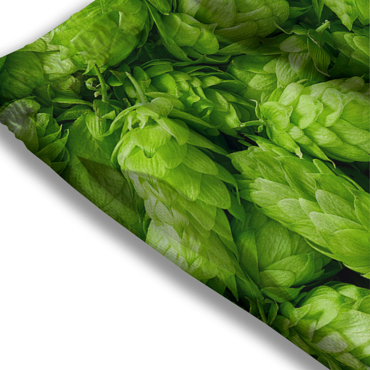 Hop Cone Fresh Print Mesh Shorts