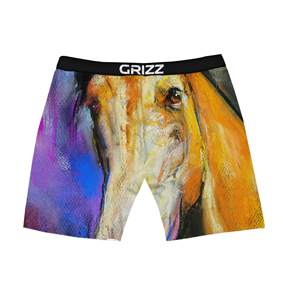 Horse Painting Colorful Print Boxer Briefs-grizzshop