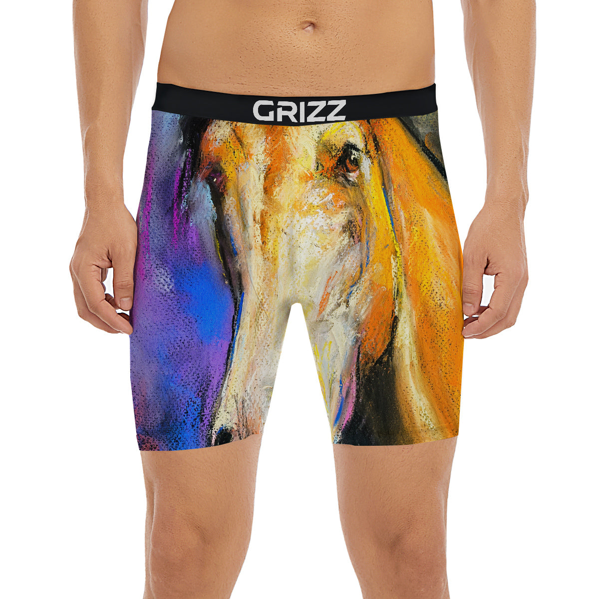 Horse Painting Colorful Print Boxer Briefs-grizzshop