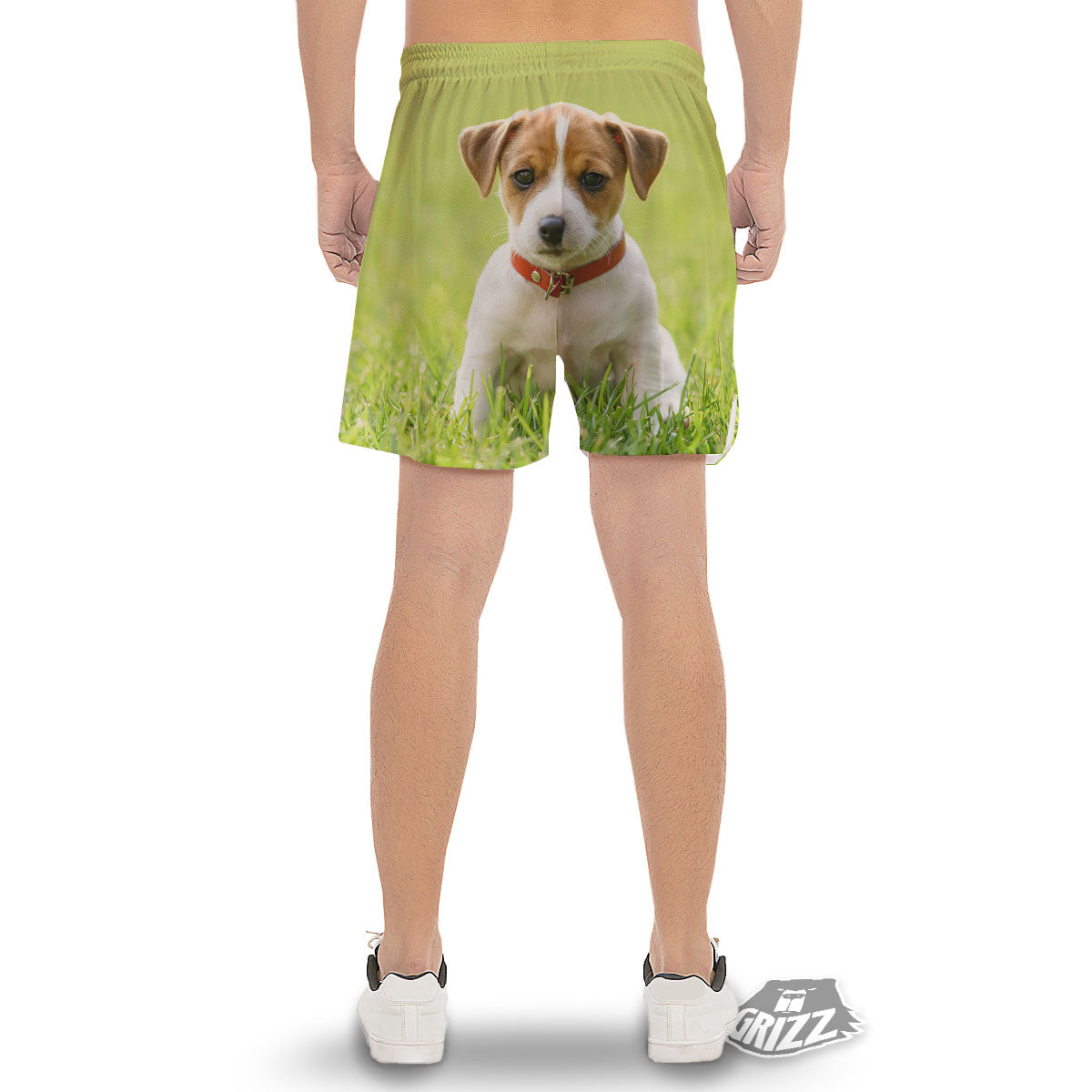 Jack Russell Terrier Little Print Men's Gym Shorts-grizzshop