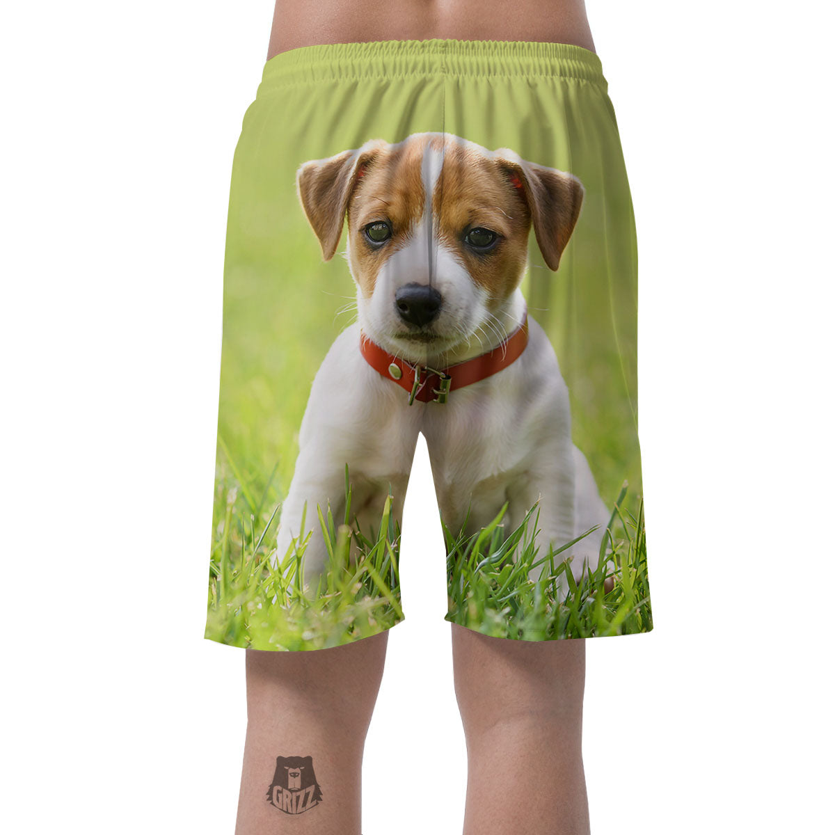 Jack Russell Terrier Little Print Men's Shorts-grizzshop