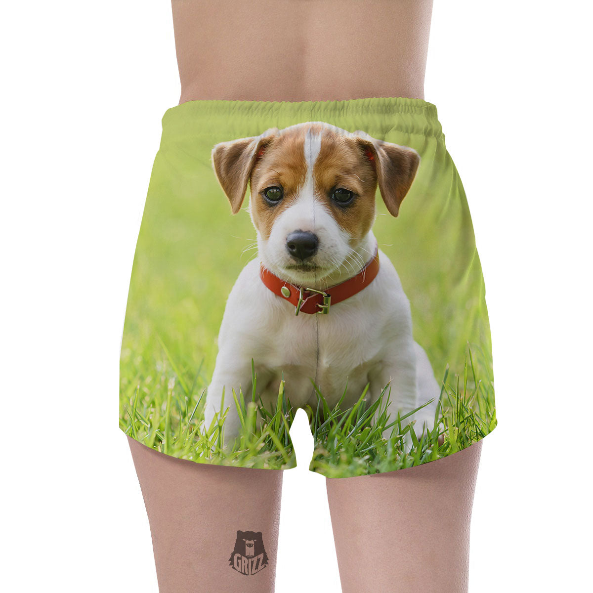 Jack Russell Terrier Little Print Women's Shorts-grizzshop