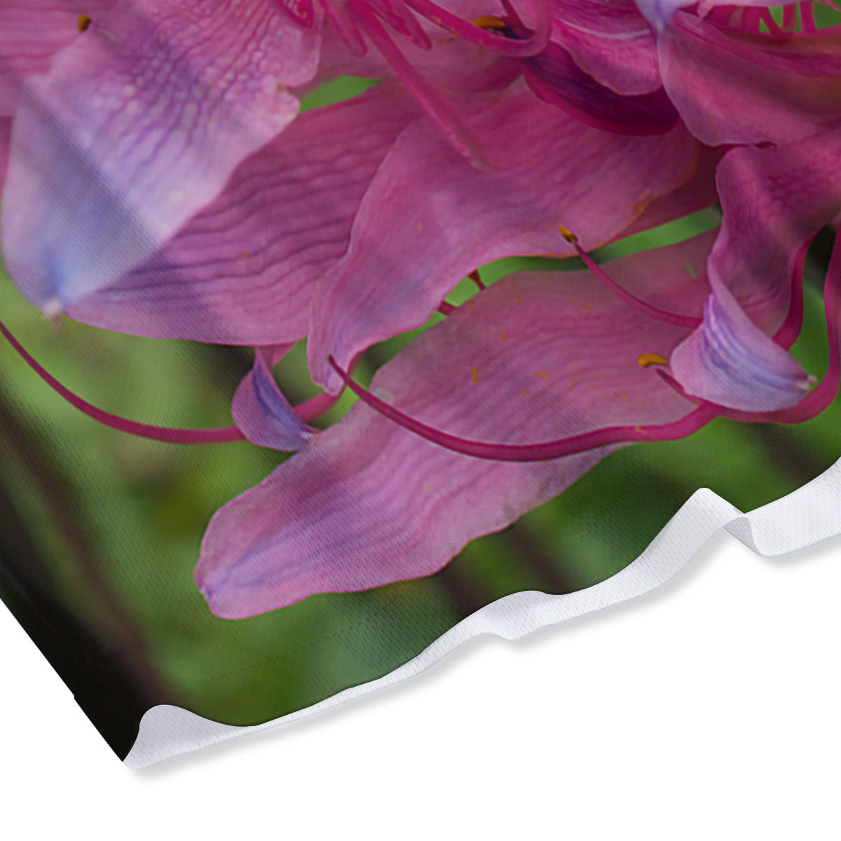 Japanese Amaryllis Purple And Pink Print Mesh Shorts