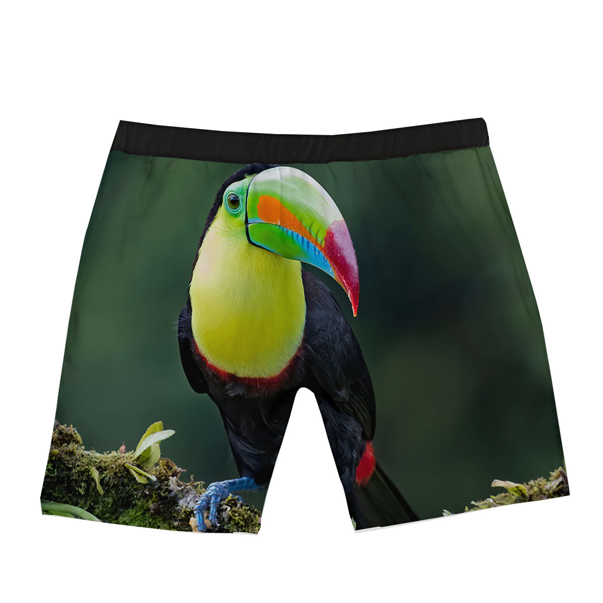 Keel-Billed Toucan Print Boxer Briefs-grizzshop