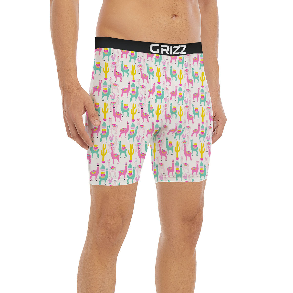 Llama And Cartoon Cactus Print Pattern Boxer Briefs-grizzshop