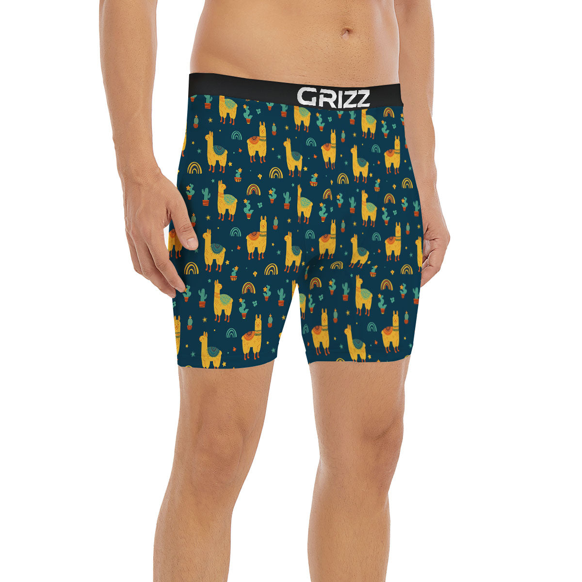 Llama And Cute Cactus Print Pattern Boxer Briefs-grizzshop