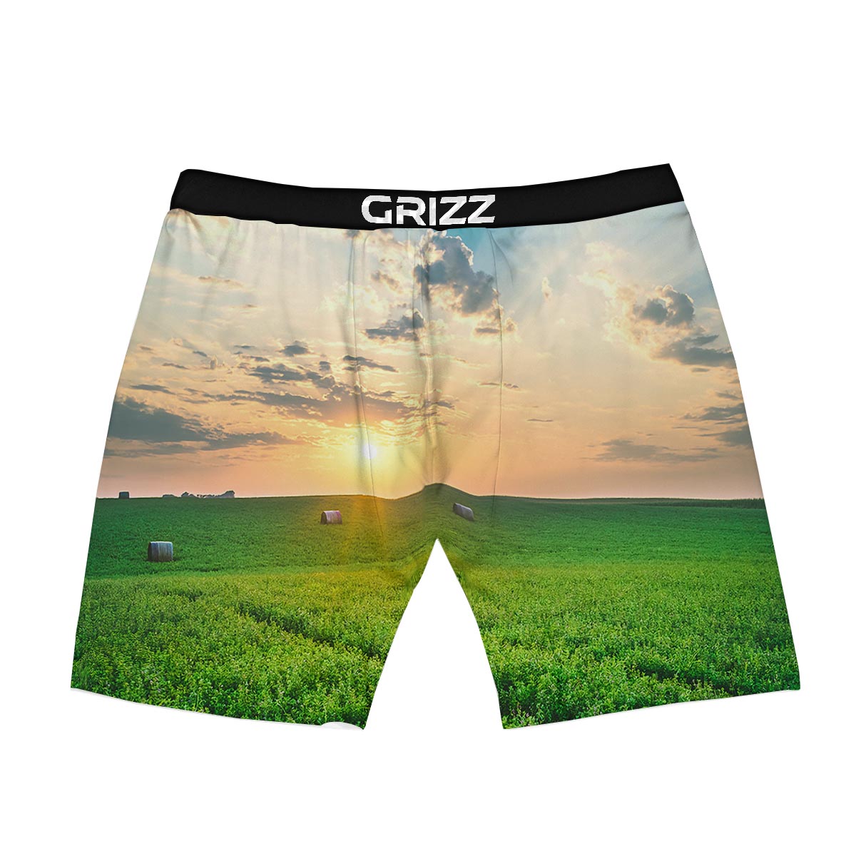 Meadow Sunrise Print Boxer Briefs-grizzshop