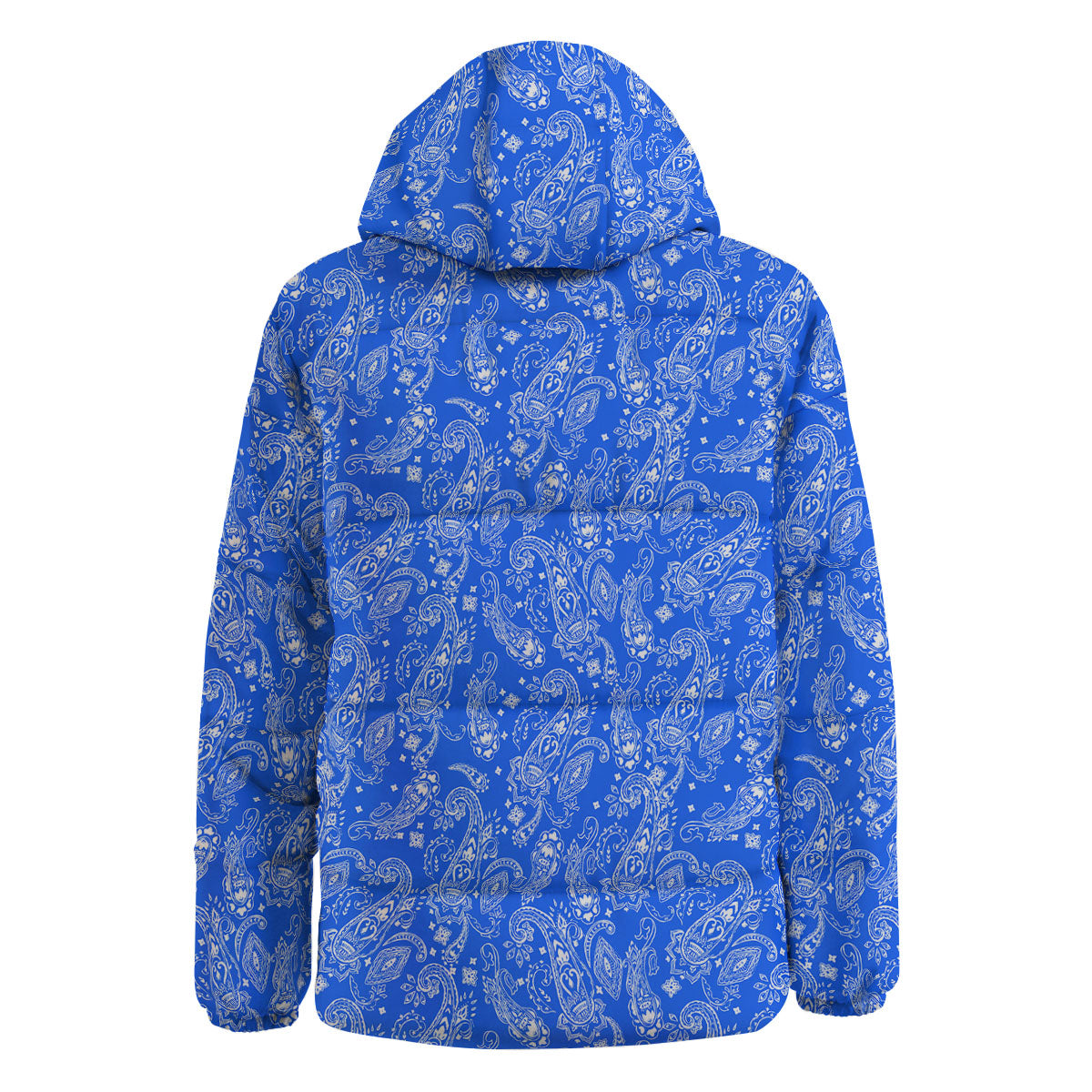 Paisley Blue Bohemian Print Pattern Down Jacket-grizzshop