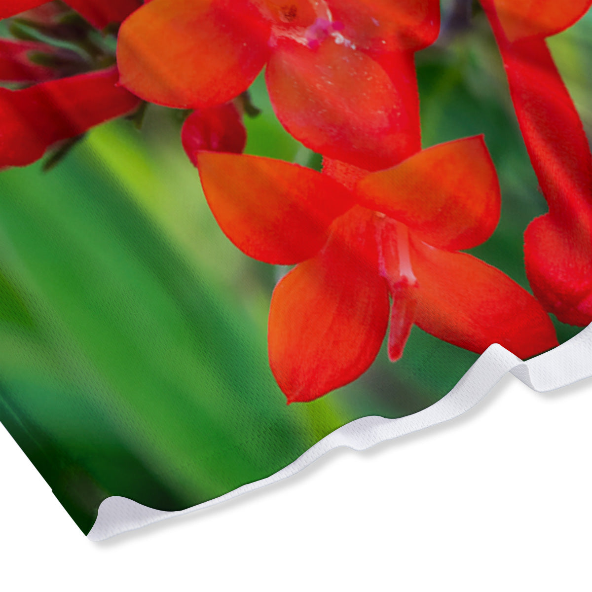 Paw Knitted White And Grey Print Pattern Mesh Shorts