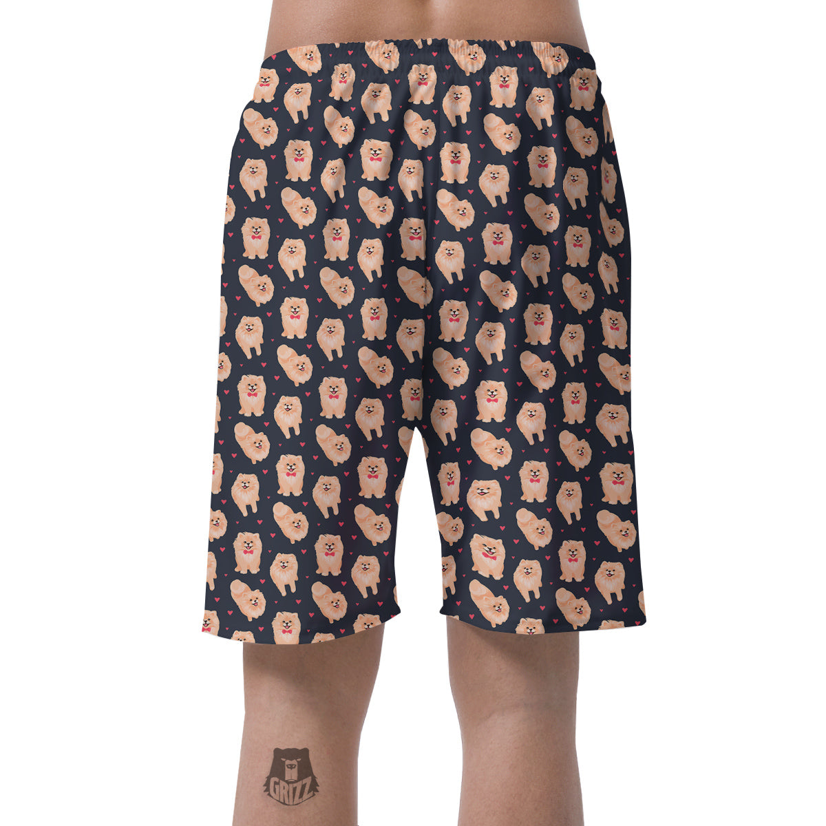 Pomeranian Cute Print Pattern Men's Shorts-grizzshop