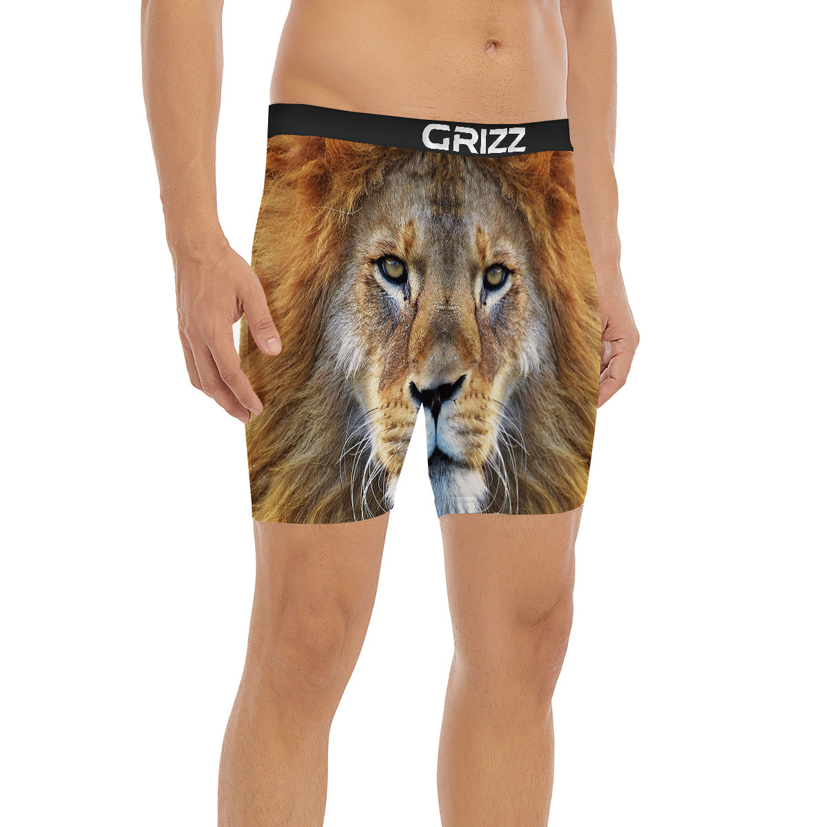 Portrait African Lion Print Boxer Briefs-grizzshop