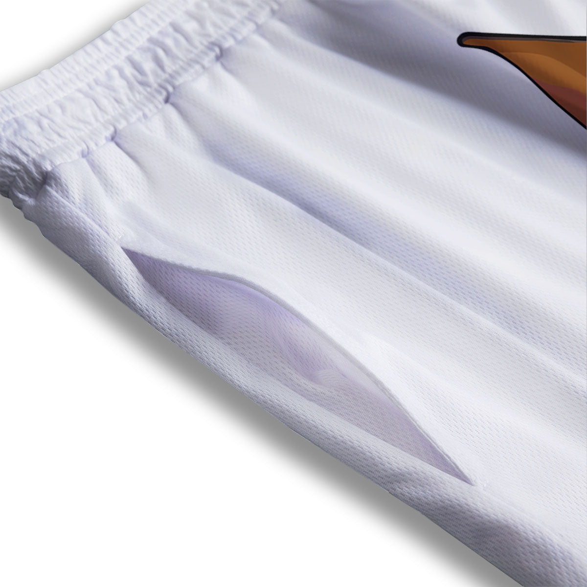 Portrait Dobermann Print Mesh Shorts