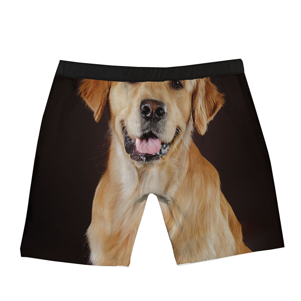 Portrait Golden Retriever Print Boxer Briefs-grizzshop