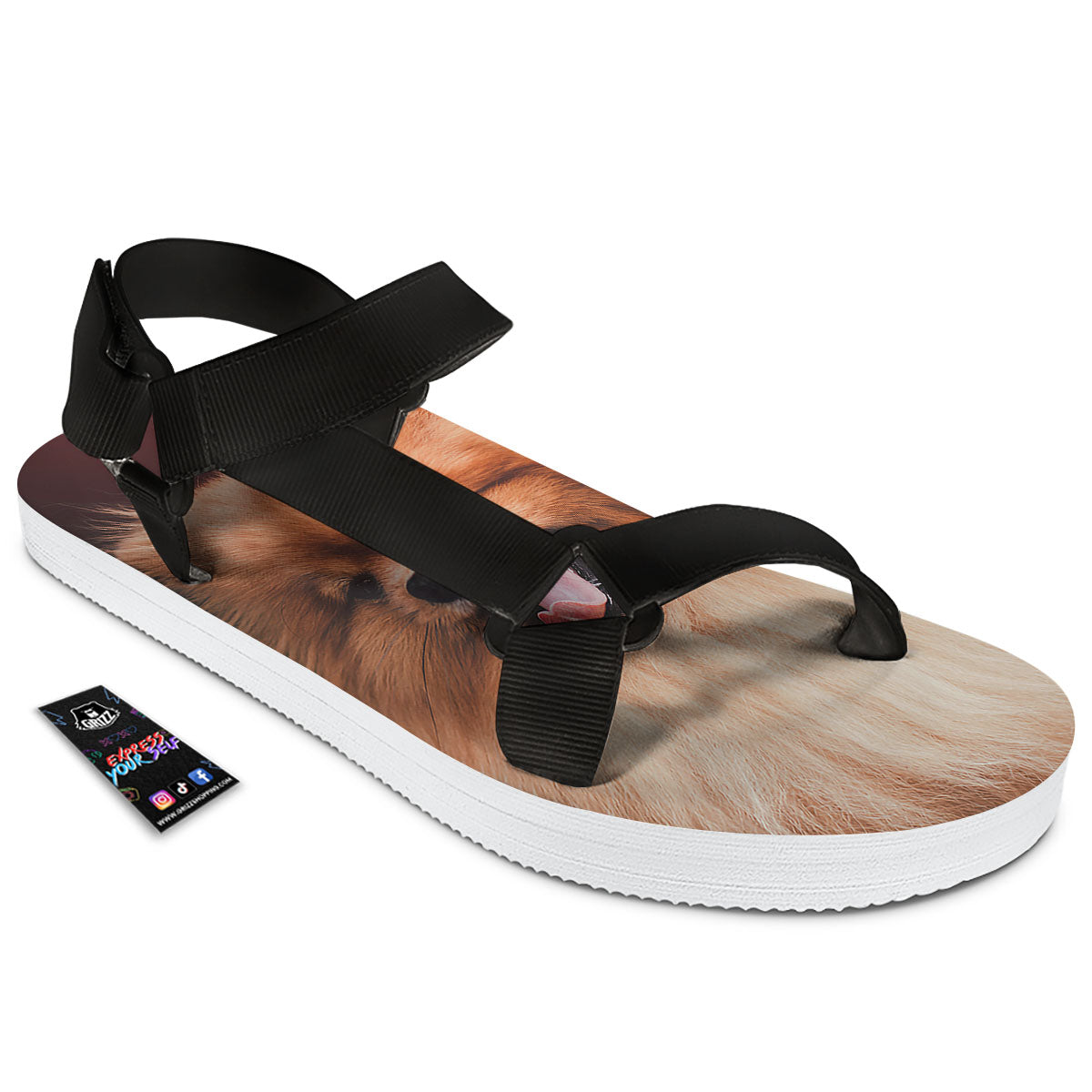 Portrait Vintage Pomeranian Black Open Toe Sandals-grizzshop