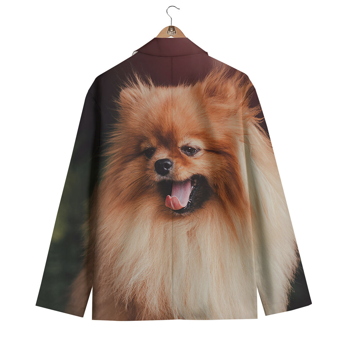 Portrait Vintage Pomeranian Men's Blazer-grizzshop