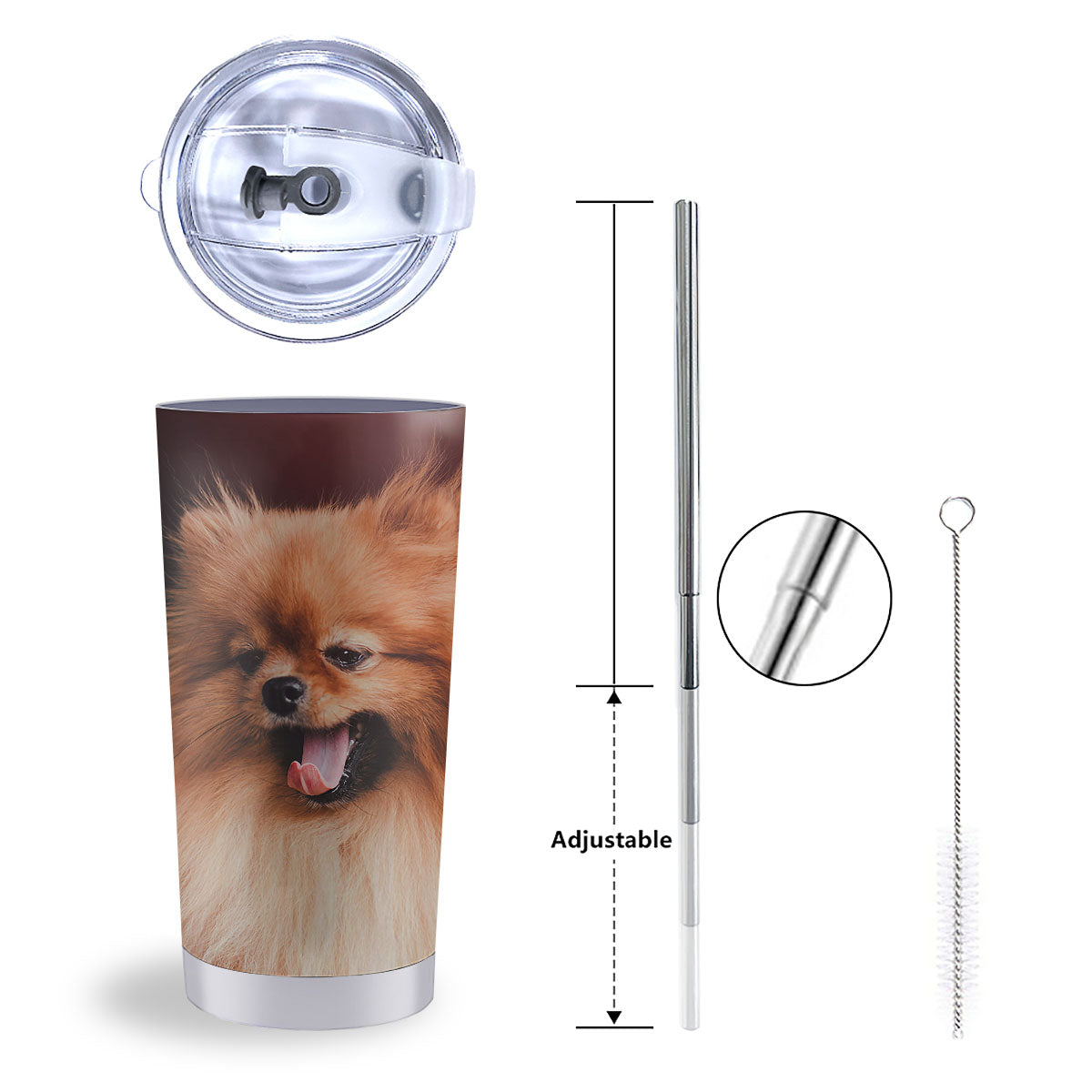 Portrait Vintage Pomeranian Tumbler-grizzshop